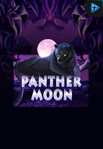 Bocoran RTP Panther Moon di ZOOM555 | GENERATOR RTP SLOT