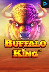 Bocoran RTP Buffalo King di ZOOM555 | GENERATOR RTP SLOT