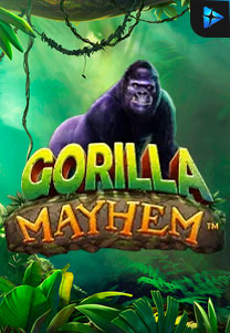Bocoran RTP Gorilla Mayhem di ZOOM555 | GENERATOR RTP SLOT